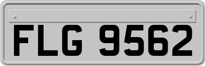 FLG9562