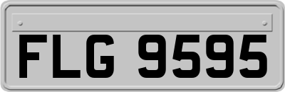 FLG9595
