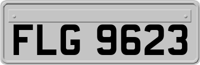 FLG9623