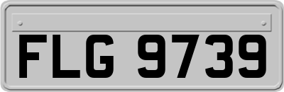 FLG9739