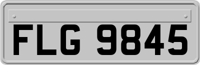 FLG9845