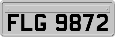 FLG9872