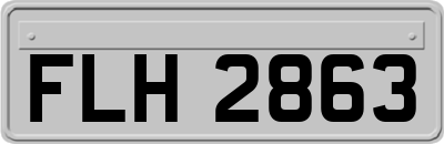 FLH2863