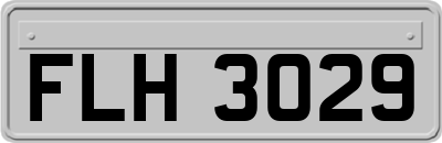 FLH3029
