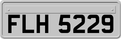 FLH5229