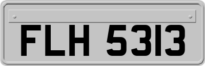 FLH5313