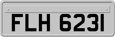 FLH6231