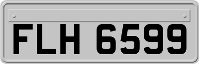 FLH6599