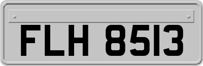 FLH8513