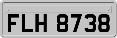 FLH8738