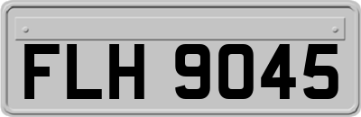 FLH9045