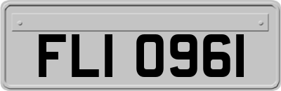 FLI0961