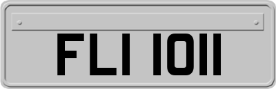 FLI1011