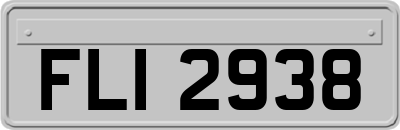 FLI2938