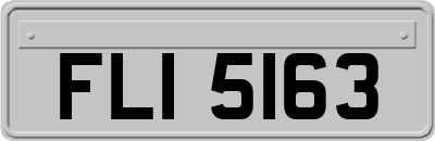 FLI5163