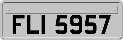 FLI5957