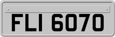 FLI6070