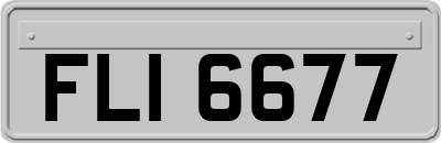 FLI6677