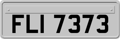 FLI7373