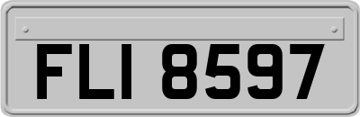 FLI8597