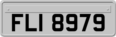 FLI8979