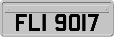 FLI9017