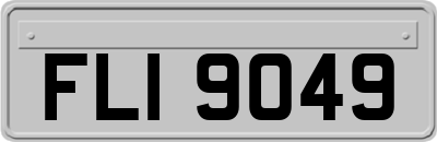 FLI9049