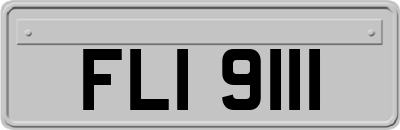 FLI9111