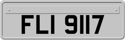 FLI9117
