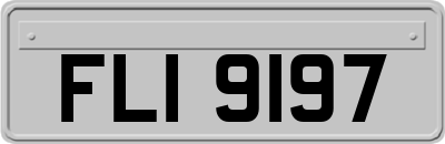 FLI9197