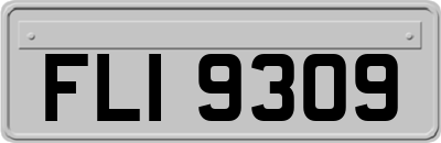 FLI9309