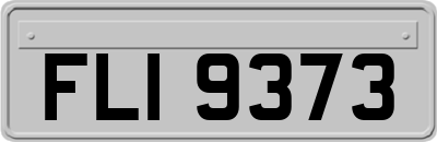 FLI9373