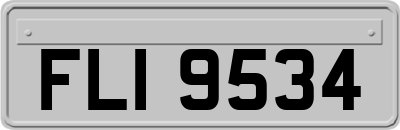 FLI9534