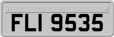 FLI9535