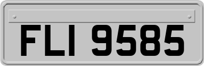FLI9585