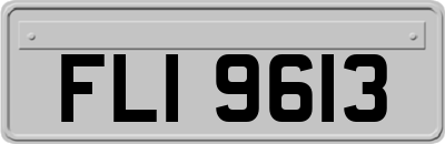 FLI9613