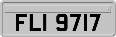 FLI9717