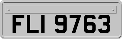 FLI9763