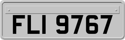 FLI9767