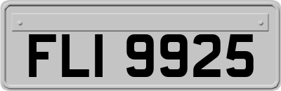 FLI9925
