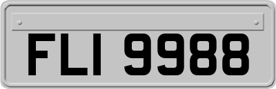 FLI9988