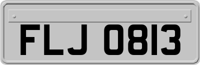 FLJ0813
