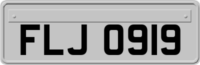 FLJ0919