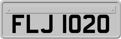 FLJ1020