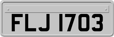FLJ1703