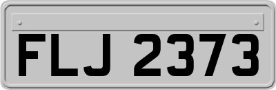 FLJ2373