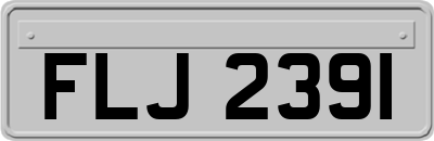 FLJ2391