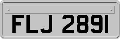 FLJ2891