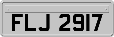 FLJ2917
