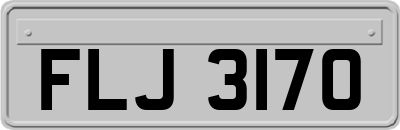 FLJ3170